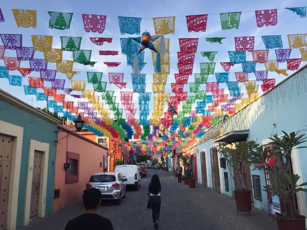 Los Nardos Hostel -Pet Friendly- Oaxaca Eksteriør bilde