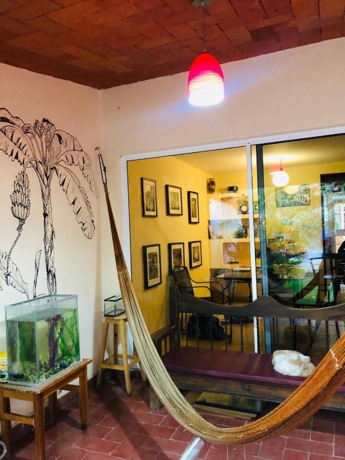 Los Nardos Hostel -Pet Friendly- Oaxaca Eksteriør bilde