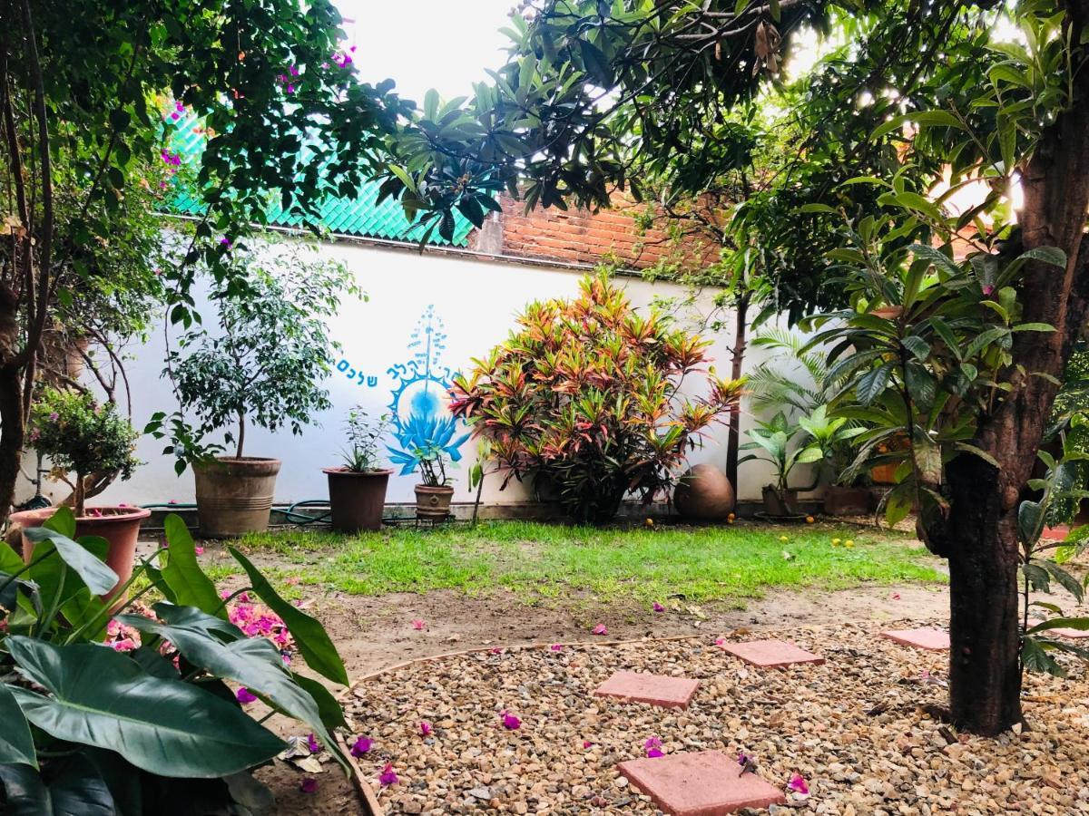 Los Nardos Hostel -Pet Friendly- Oaxaca Eksteriør bilde