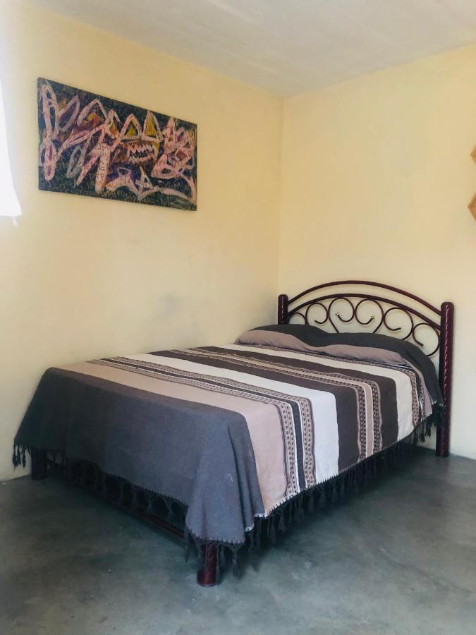 Los Nardos Hostel -Pet Friendly- Oaxaca Eksteriør bilde