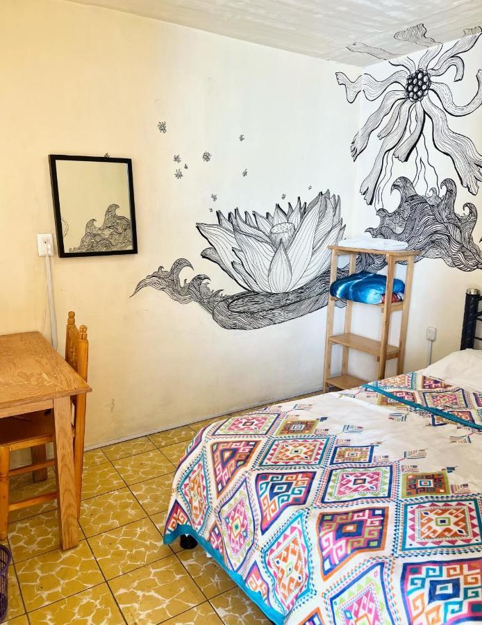 Los Nardos Hostel -Pet Friendly- Oaxaca Eksteriør bilde