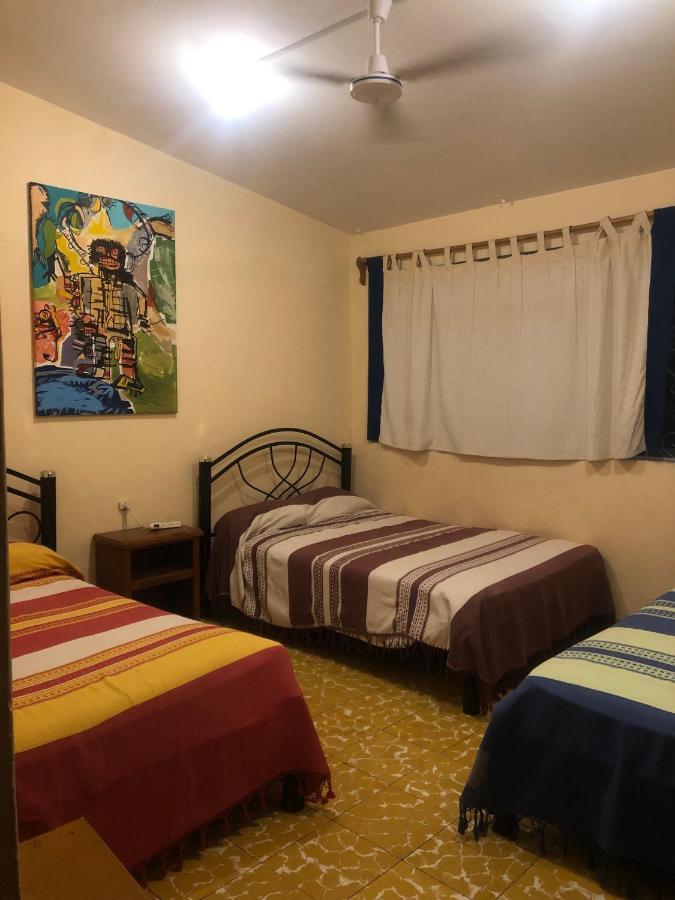 Los Nardos Hostel -Pet Friendly- Oaxaca Eksteriør bilde