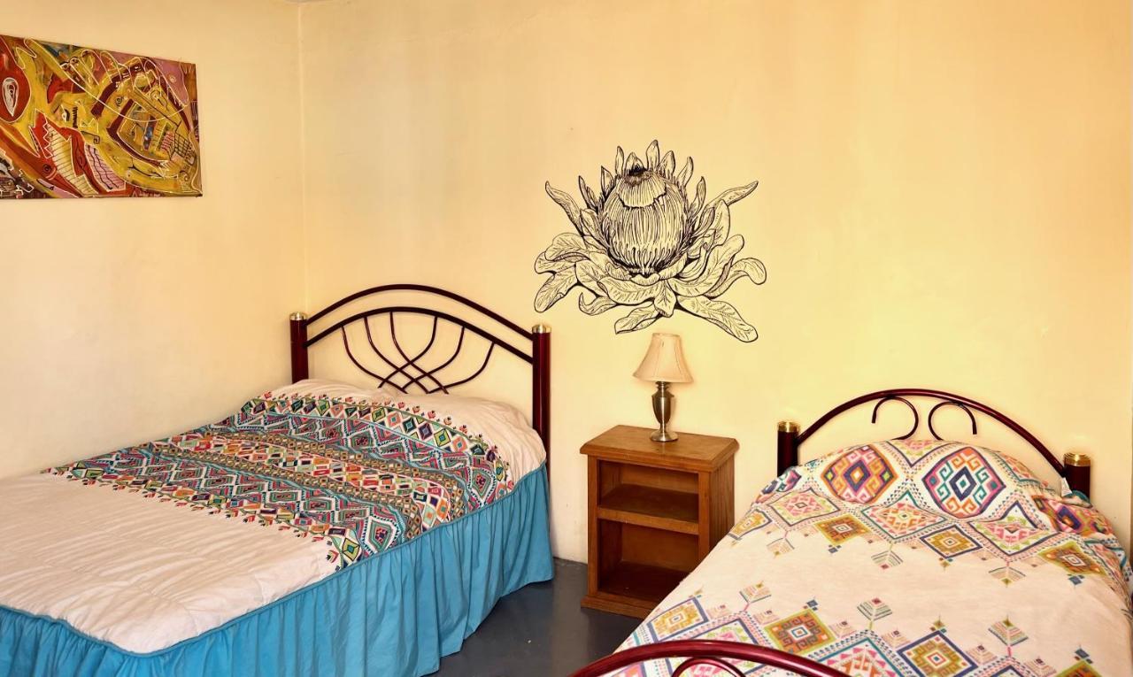 Los Nardos Hostel -Pet Friendly- Oaxaca Eksteriør bilde