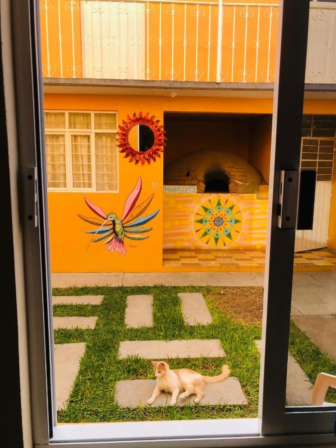 Los Nardos Hostel -Pet Friendly- Oaxaca Eksteriør bilde